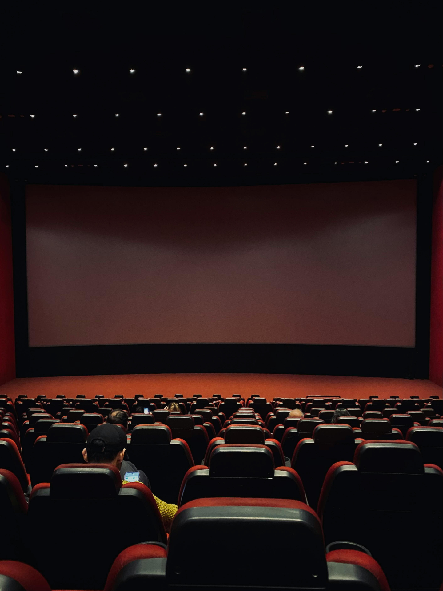 Photo d'une salle de cinema , semi allumée, on voit la scène et le rideau, les sièges de dos et la tête d'une personne